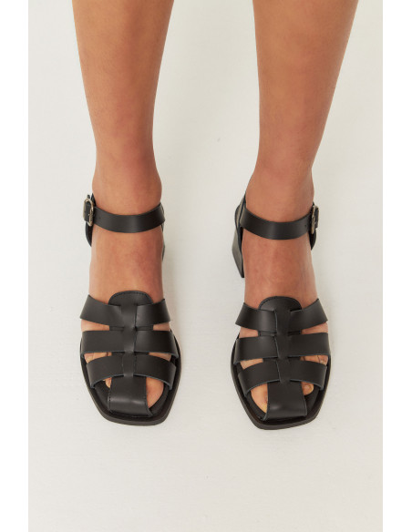 CANGREJERA RAY MUSGO