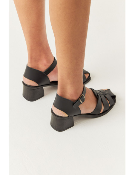 CANGREJERA RAY MUSGO